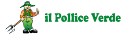 logo01-256