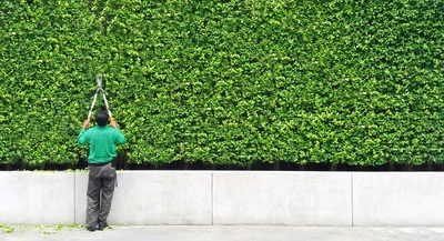 «Servizi su misura per ogni spazio verde»